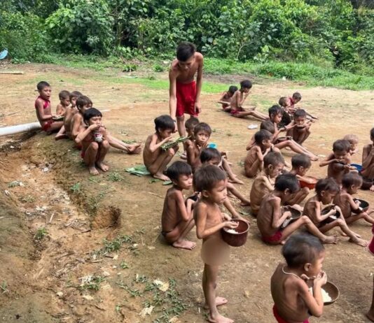 Governo Federal falha e garimpo ilegal ainda ameaça saúde em território yanomami