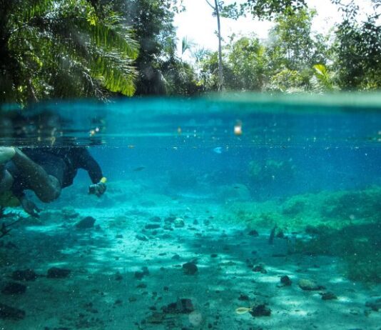 Bonito registra recorde de turistas com mais de 313 mil visitantes, com investimentos do Governo de MS,