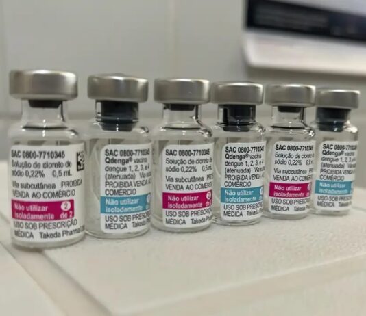COMBATE À DENGUE: vacinação vai priorizar faixa etária de 6 a 16 anos