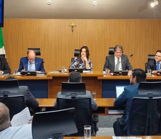 Projeto que veda a pesca e comercialização do Dourado por mais 5 anos em MS é aprovado na CCJR