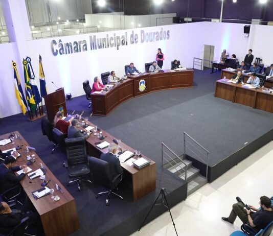 DOURADOS: Câmara aprova projeto de lei para combater o abandono de animais