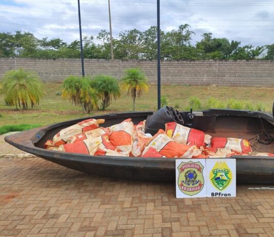 PF e BPFron apreendem em Guaíra (PR) 700 kg de agrotóxicos contrabandeados