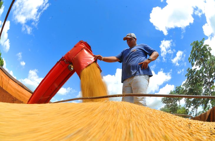Colheita-de-soja-Foto-Alvaro-Rezende-4-730x480