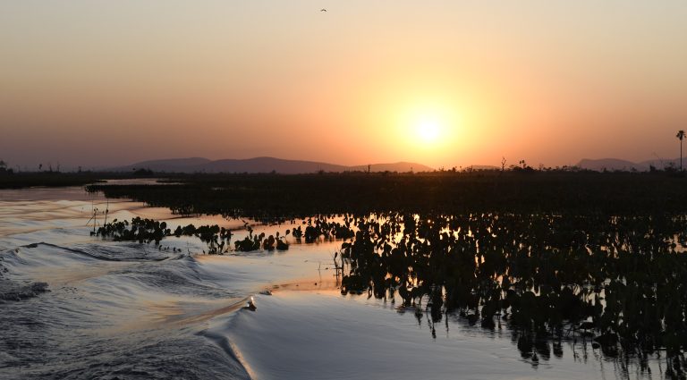 Pantanal-Tempo-Foto-Bruno-Rezende-22-768x425