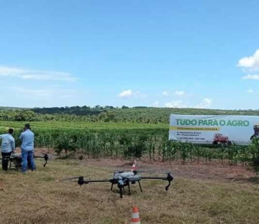 FRUTICULTURA: Governo incentiva o desenvolvimento do setor para diversificar a base produtiva do Estado