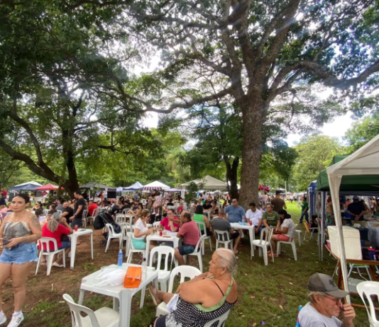 FIM DE SEMANA tem Sarau Cultural, encontro de brechós, enterro dos ossos e Feira Bosque da Paz