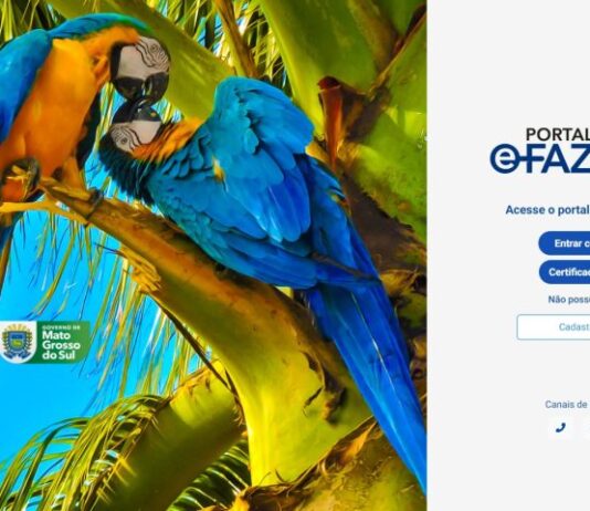 Para segurança digital, Governo de MS regulamenta novo portal e-Fazenda