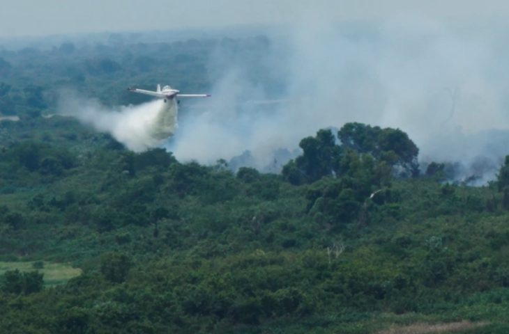 incendio-4-serra-amolar_pantanal-fev-2024_teo-pini-730x480