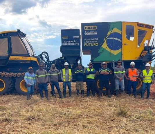 Arauco adota plantio mecanizado para aumentar eficiência e produtividade em sua operação florestal