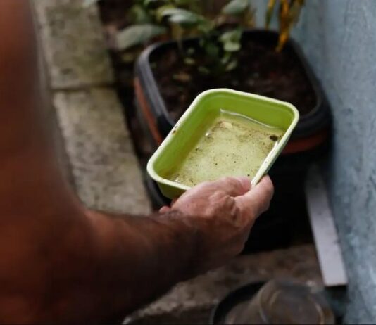 Dicas simples podem livrar sua casa dos focos da dengue e se prevenir contra doença