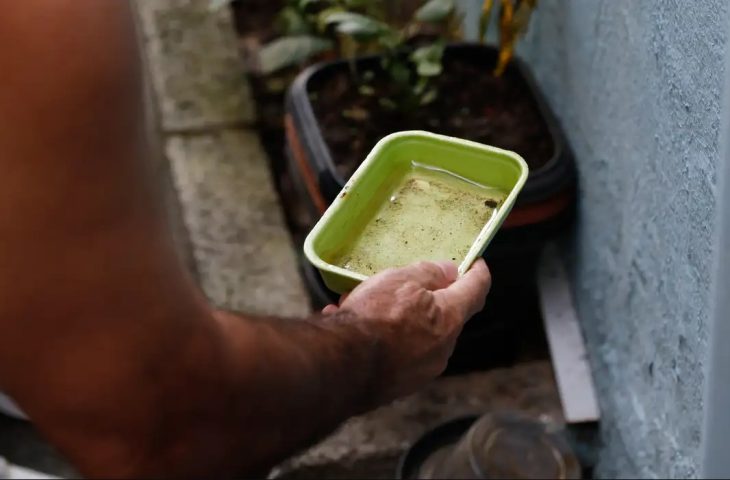 prevencao-dengue_agencia-brasil-730x480