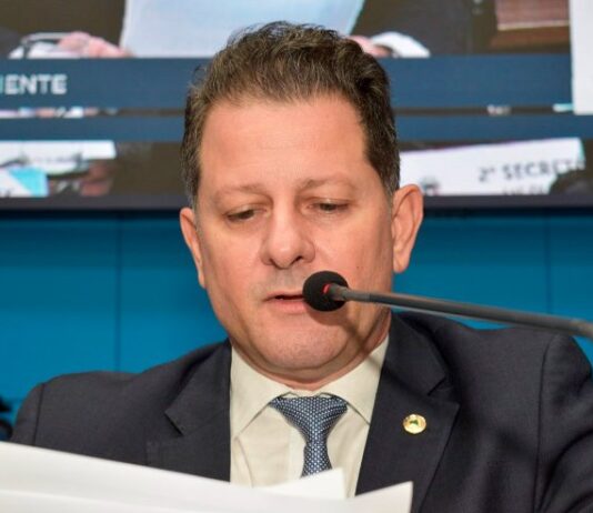 Atendendo proposição de Renato, ALEMS homenageia 48 mulheres empreendedoras nesta quarta-feira