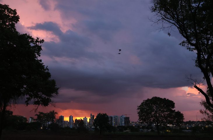 IMG_9191-730x480