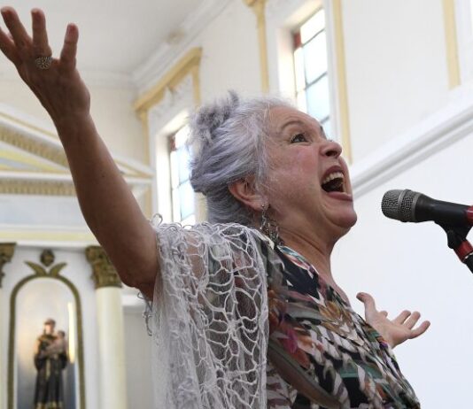 Artista campo-grandense Tetê Espíndola comemora 70 anos nesta segunda-feira