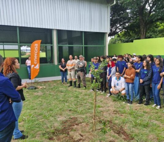 MEIO AMBIENTE: ação de conscientização em escolas de MS faz plantio de mudas e aborda até cuidados com rede elétrica