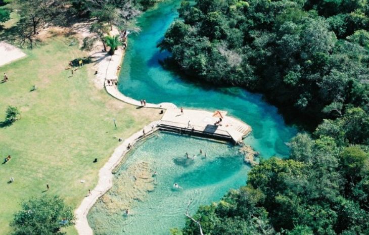 bonito-730x465