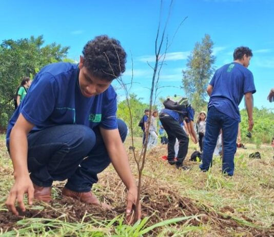 Projeto com estudantes de escola indígena realiza restauração de vegetação em Dourados