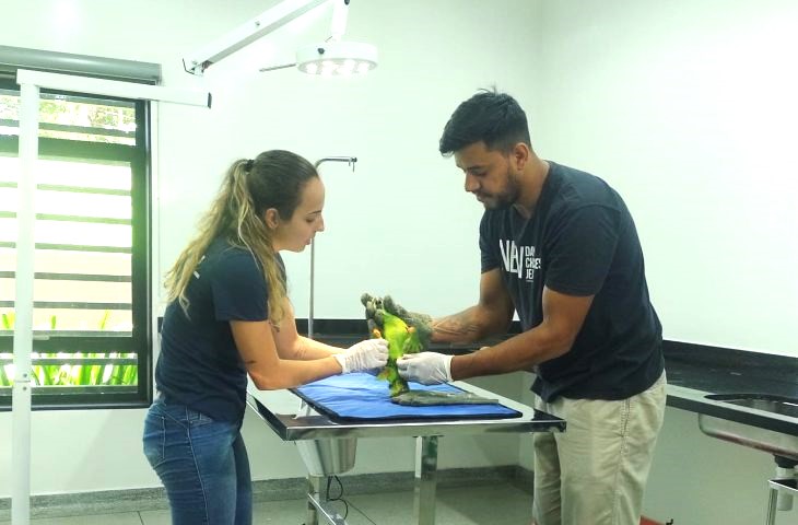 hospital-veterinario-6-papagaio-sendo-atendido-OK-730x480