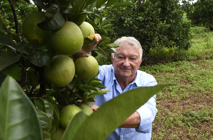 Plantacao-de-Laranja-Foto-Bruno-Rezende-12-730x480