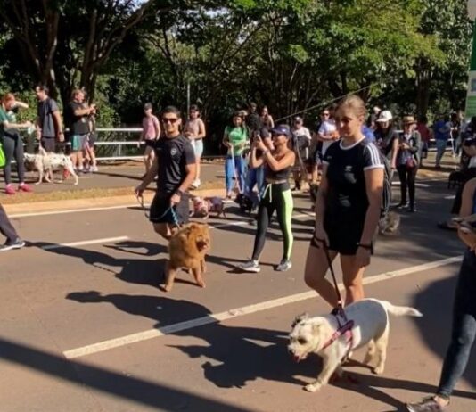 ABRIL LARANJA: Ações de conscientização contra maus-tratos a animais chegam a Bodoquena e Corumbá