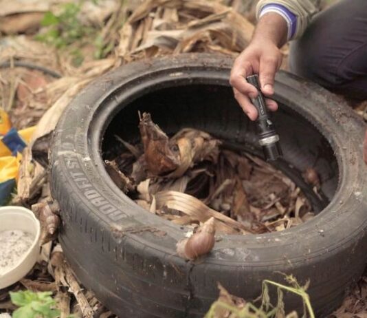 Mato Grosso do Sul registra mais 5.754 casos de dengue somente em 2024 confirma boletim epidemiológico