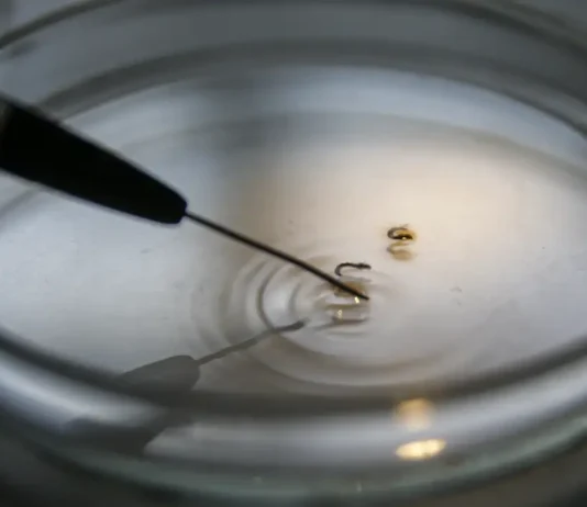 Brasil supera 1 mil mortes por dengue este ano