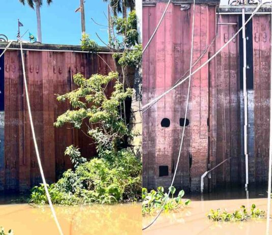 Nível do Rio Paraguai mais baixo que em 1964 alerta para seca histórica no Pantanal de MS