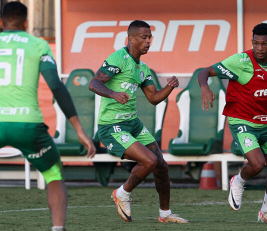 Botafogo, São Paulo e Palmeiras estreiam hoje na Copa do Brasil