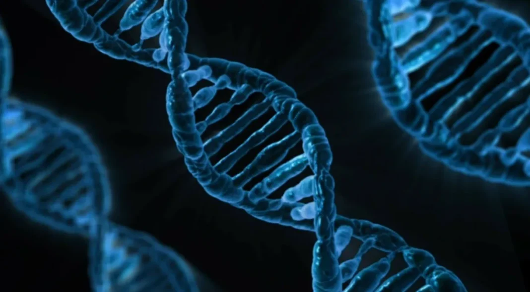 DNA PF