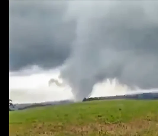 Defesa Civil confirma que fenômeno em Gentil (RS) foi tornado