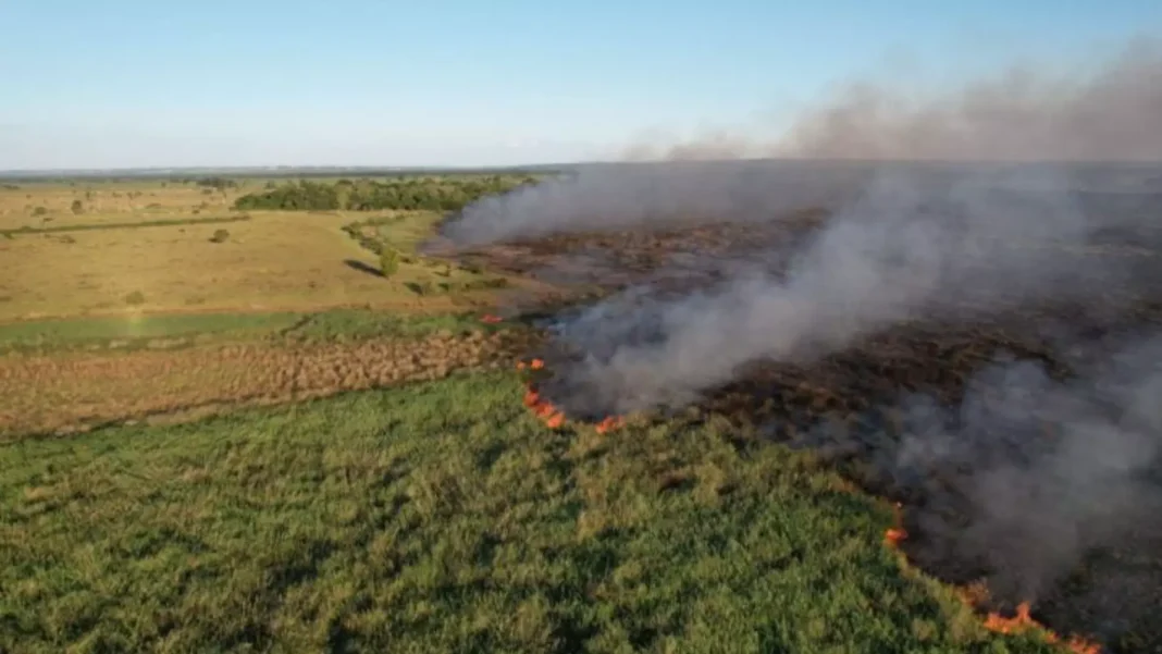 Incêndio Naviraí
