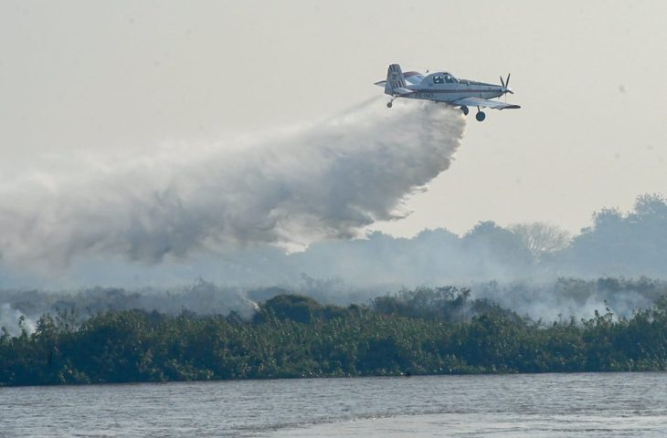 Air-Tractor-Pantanal-Foto-Bruno-Rezende-6-730x480