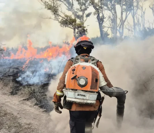 PF cria gabinete de crise para investigar incêndios no Pantanal