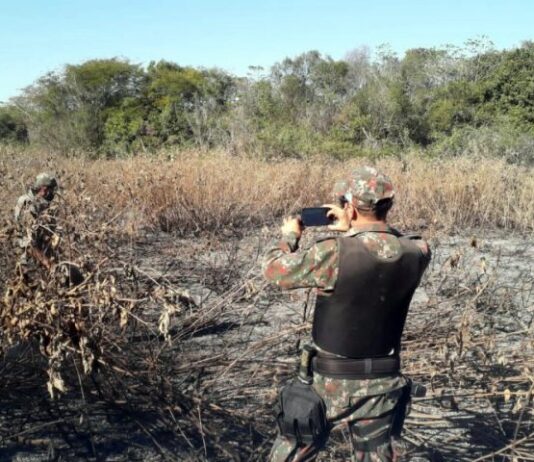 MS já aplicou R$ 54 milhões em multas por incêndios no Pantanal, e mutirão vai acelerar processos