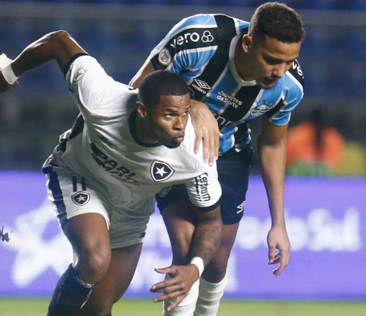 Botafogo derrota o Grêmio e assume liderança do Brasileirão