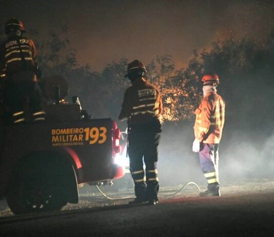 INCÊNDIOS NO PANTANAL: Bombeiros de MS continuam trabalho para conter focos em diferentes áreas