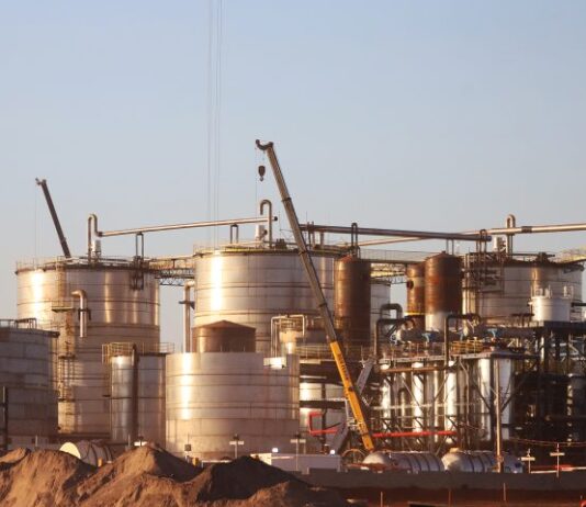 MS mantém ritmo de crescimento com 895 novas empresas abertas em junho