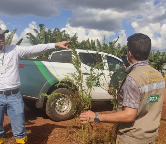 Governo de MS publica abertura de concurso da Iagro com 29 vagas para médico veterinário