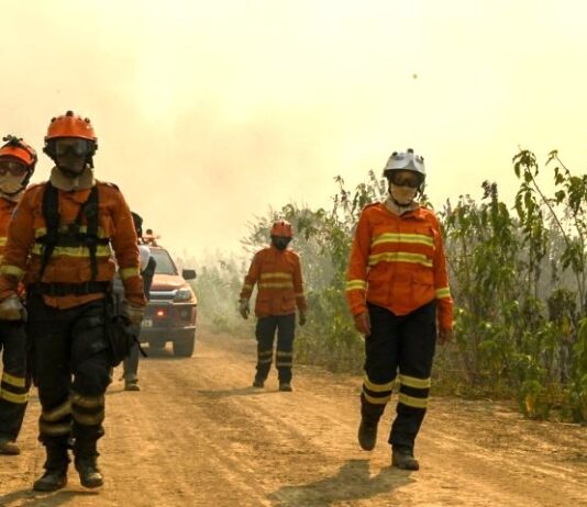 PANTANAL: força-tarefa segue ativa para prevenir e combater incêndios em nova onda de calor e tempo seco