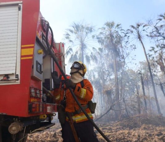 Com seis focos ativos, incêndios no Pantanal são intensificados devido a condições climáticas extremas