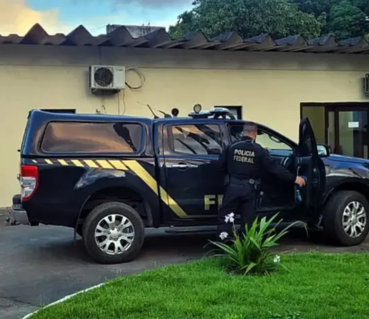 PF inicia operação contra tráfico internacional de animais silvestres