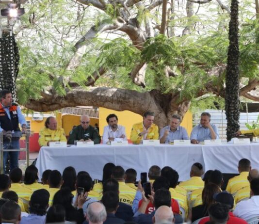 PANTANAL: ações antecipadas barram avanço do fogo e preservam grande parte do bioma em MS