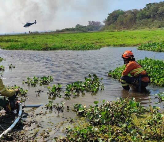COMBATENDO INCÊNDIOS: Serra do Amolar, Porto da Manga e Rabicho concentram esforços dos Bombeiros no Pantanal