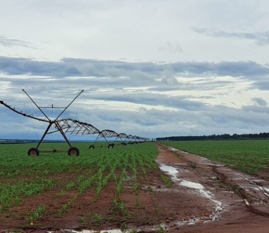 FCO para MS: R$ 227 milhões são aprovados para empreendimentos em diversas áreas