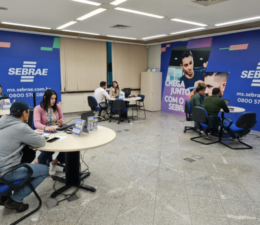 MEI: Mato Grosso do Sul registra 19 mil novas formalizações no primeiro semestre de 2024