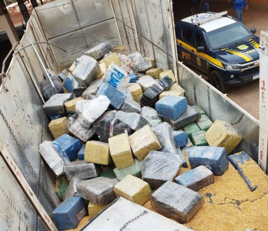 PRF apreende 10,9 toneladas de maconha em Angélica (MS)