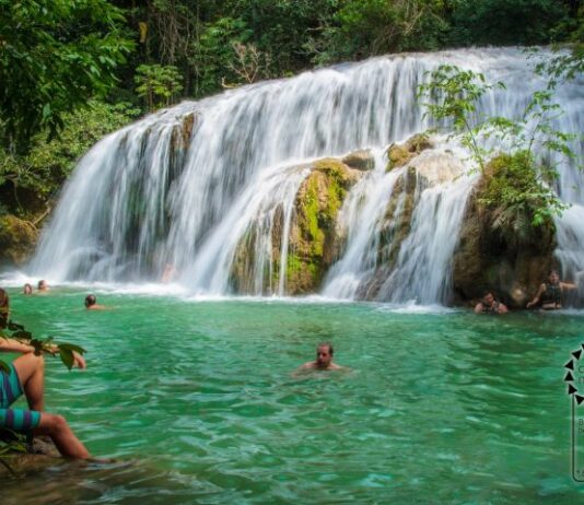 Ações de neutralização de carbono destacam responsabilidade ambiental do turismo no FIB 2024