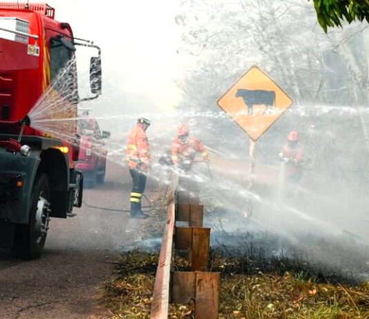 Chuva de 20 mm chega a várias regiões do Pantanal e ajuda a controlar incêndios florestais em MS
