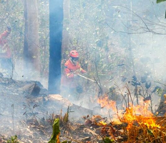 OPERAÇÃO PANTANAL: bioma tem oito focos ativos mesmo após semana de frio e chuva em MS