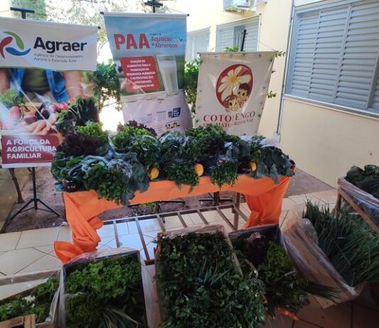 CAMPO GRANDE: Agricultores familiares iniciam entrega de alimentos no Cotolengo